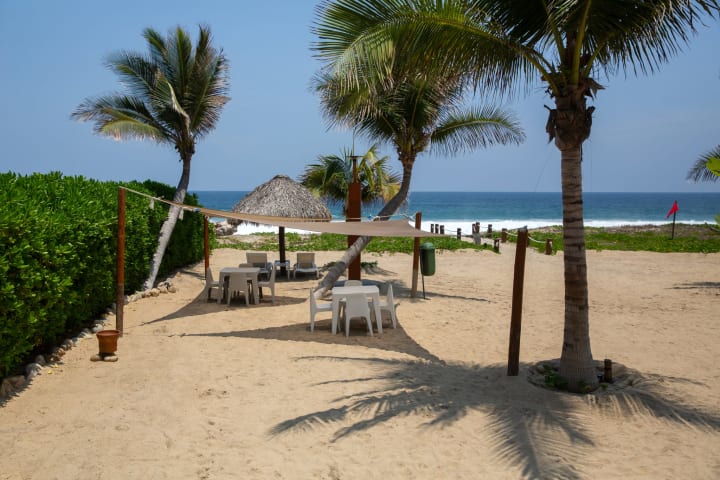 Playa Palmarito